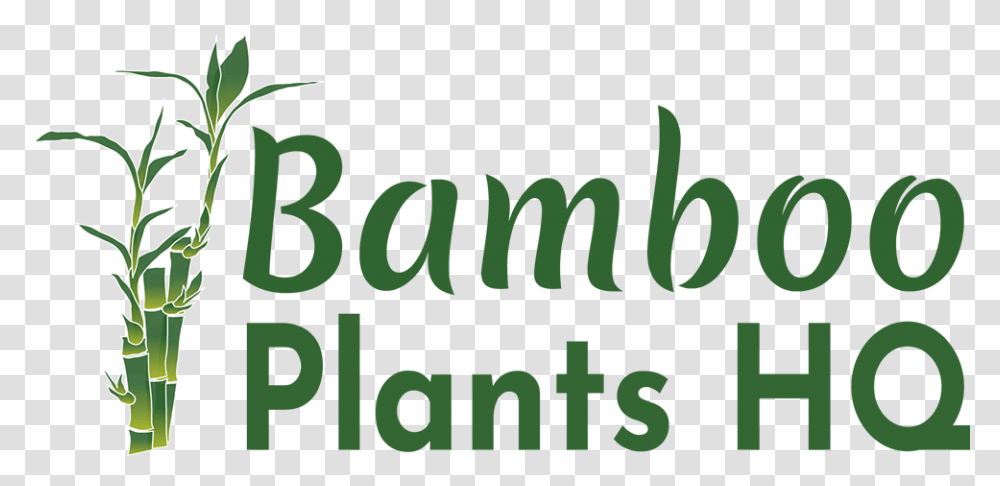 Bhumi, Word, Alphabet, Plant Transparent Png