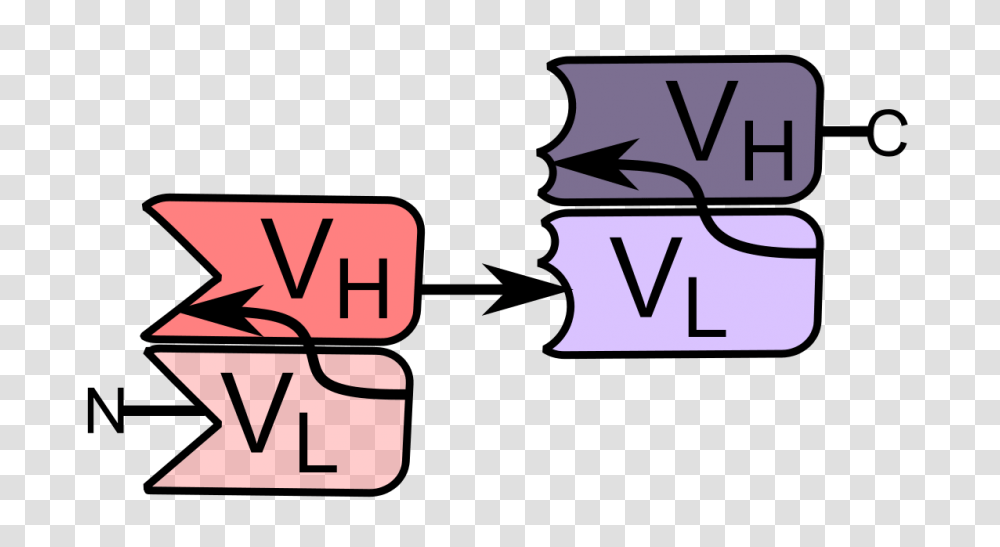 Bi Specific T Cell Engager, Number, Alphabet Transparent Png