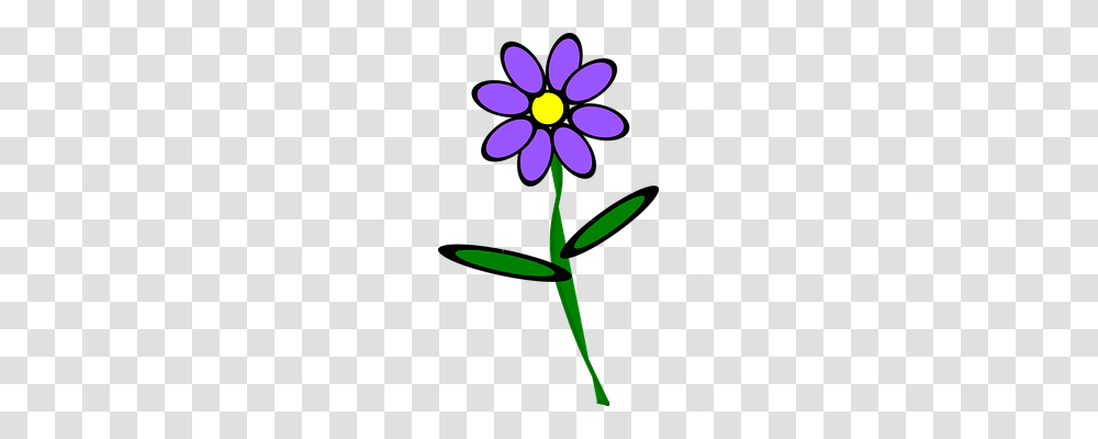 Bible Person, Plant, Flower, Purple Transparent Png