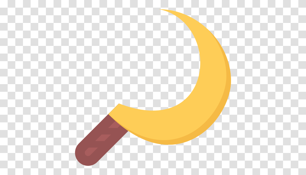 Bible Book Icon, Banana, Fruit, Plant, Food Transparent Png