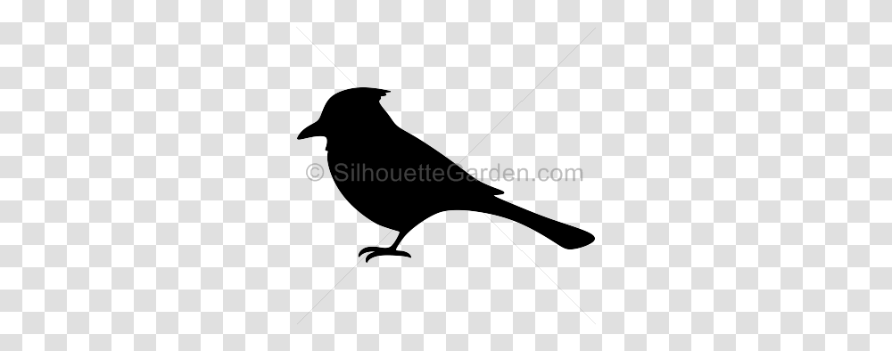 Bible Clip Art, Silhouette, Bow, Bird, Animal Transparent Png