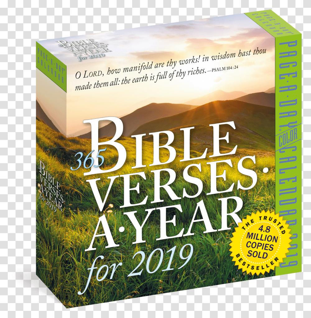 Bible Verses A Year Transparent Png