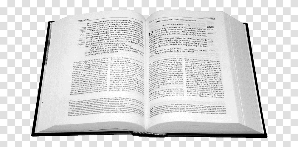 Biblia Abierta De Frente, Book, Page, Novel Transparent Png