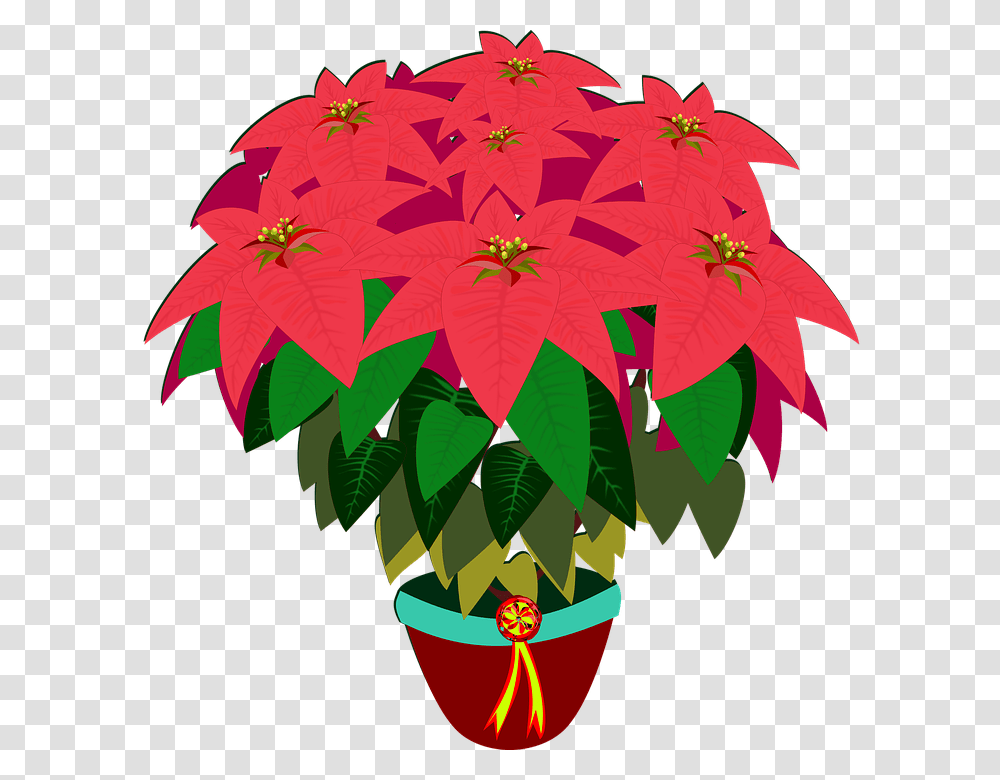 Bico De Papagaio 960, Plant, Leaf, Ornament Transparent Png