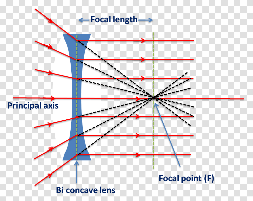 Biconcave Lens Behaviour Of Rays Passes Through Focal Lens Ray Through Focal Point, Nature, Outdoors, Plot, Diagram Transparent Png