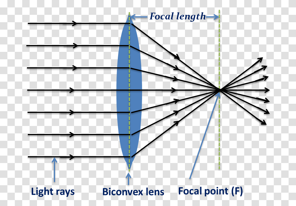 Biconvex Len Converging Light Rays Converging Rays, Plot, Outdoors, Nature, Vegetation Transparent Png