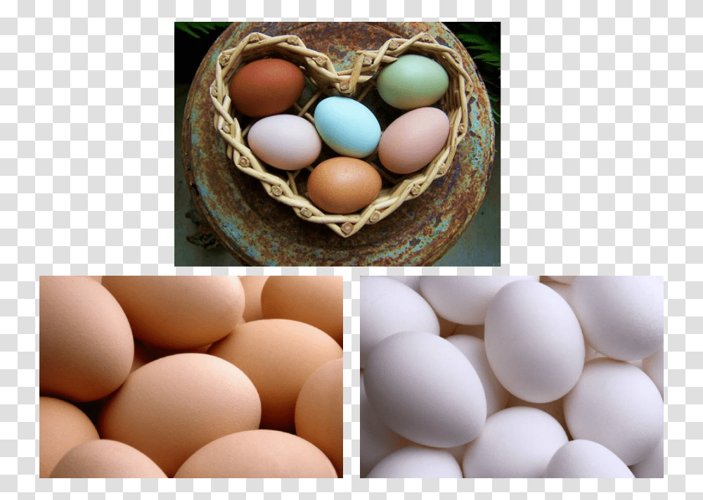 Bielefelder Chicken Egg Download Chicken Ear Lobes And Egg Color, Food, Easter Egg Transparent Png