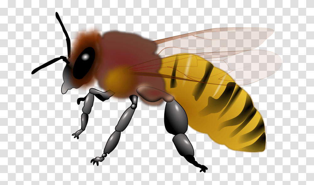 Biene, Animals, Toy, Insect, Invertebrate Transparent Png