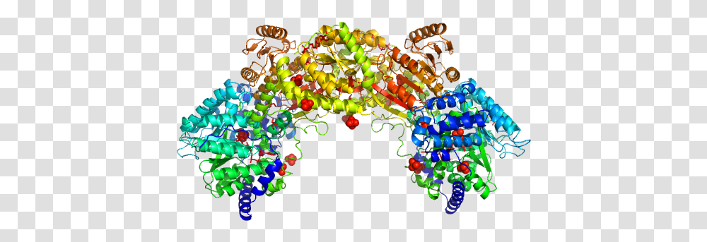Bifunctional Protein Puta Pdb Modeltitle Load Illustration, Pattern, Light Transparent Png