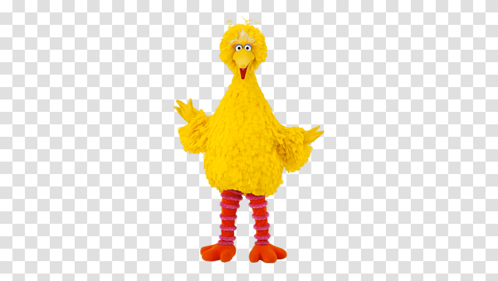 Big Bird 5 Image Big Bird, Mascot, Toy, Animal, Fowl Transparent Png