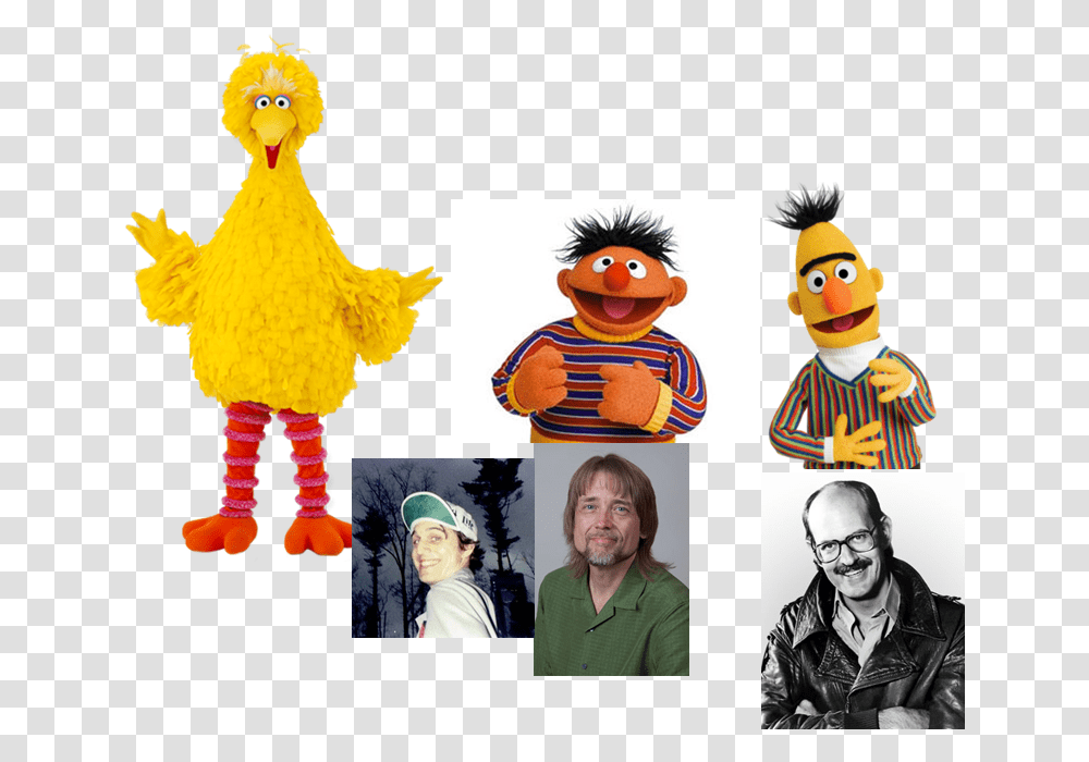 Big Bird Ernie Bert Abby Cadabby Zoe Big Bird Sesame Street Muppet, Person, Face, Glasses, Head Transparent Png