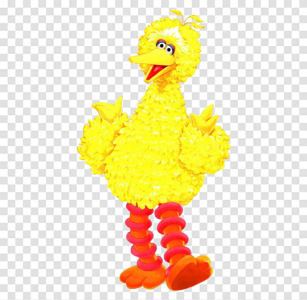 Big Bird Images Big Bird Sesame Street Cartoon, Animal, Poultry, Fowl, Chicken Transparent Png