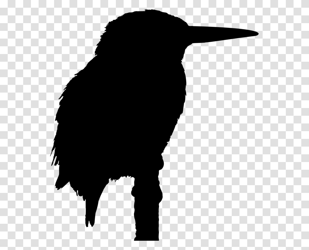 Big Bird Kingfisher Silhouette Drawing, Gray, World Of Warcraft Transparent Png