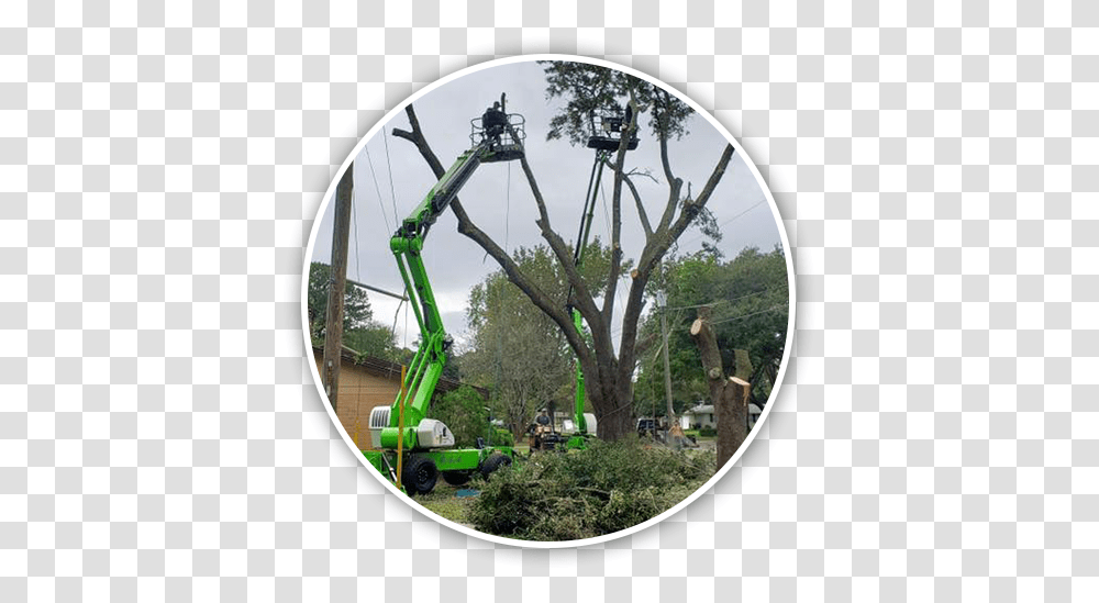 Big Branch Tree Service Superior Tree Services In Soil, Plant, Utility Pole, Vegetation, Person Transparent Png