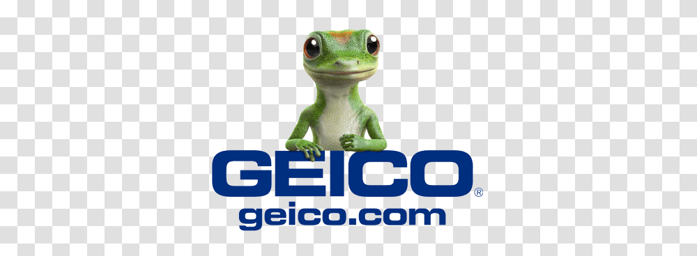 Big Brothers Big Sisters Of Nyc, Green Lizard, Reptile, Animal, Gecko Transparent Png