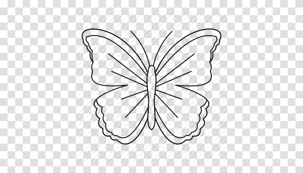 Big Butterfly Bug Fly Moth Outline Spring Tattoo Icon, Plant, Outdoors, Rug Transparent Png