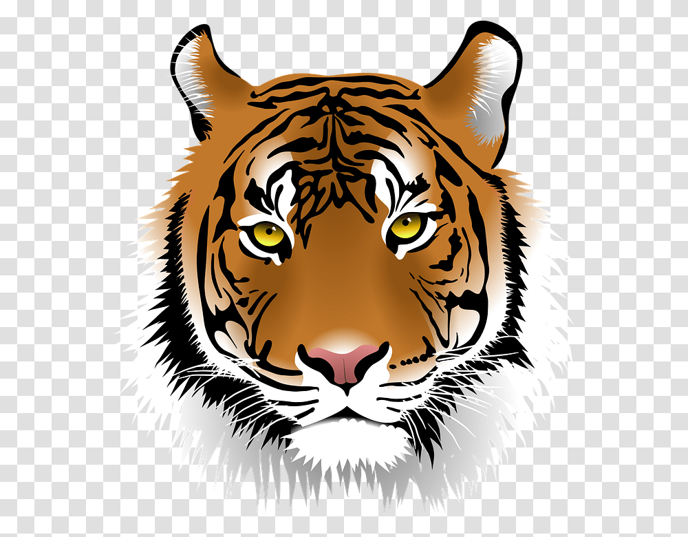 Big Cat Clipart Harimau, Tiger, Wildlife, Mammal, Animal Transparent Png