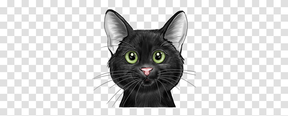 Big Cat Designs Black Cat, Pet, Mammal, Animal, Head Transparent Png