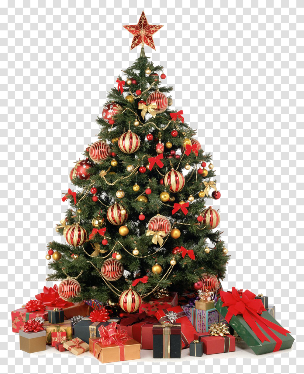 Big Christmas Tree, Ornament, Plant Transparent Png