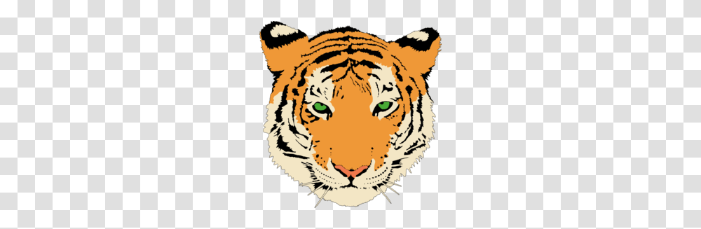 Big Clipart, Wildlife, Animal, Tiger, Mammal Transparent Png