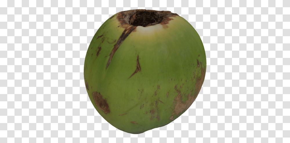 Big Coconut Apple, Plant, Fruit, Food, Vegetable Transparent Png