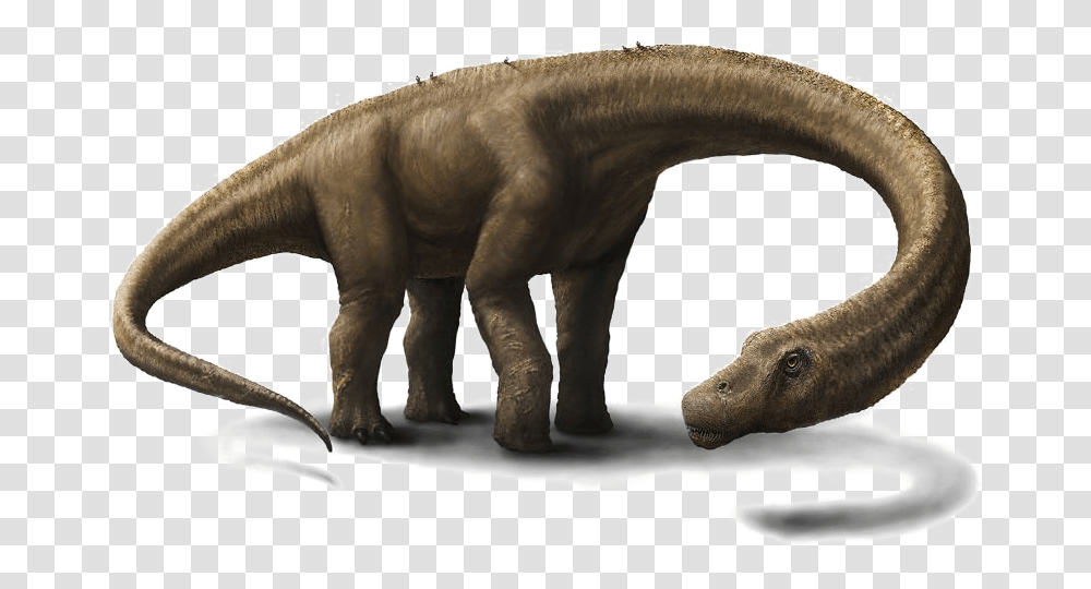 Big Dinosaurs In The World, Reptile, Animal, Elephant, Wildlife Transparent Png