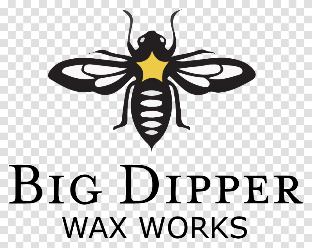 Big Dipper Wax Works Logo Net Winged Insects, Wasp, Bee, Invertebrate, Animal Transparent Png