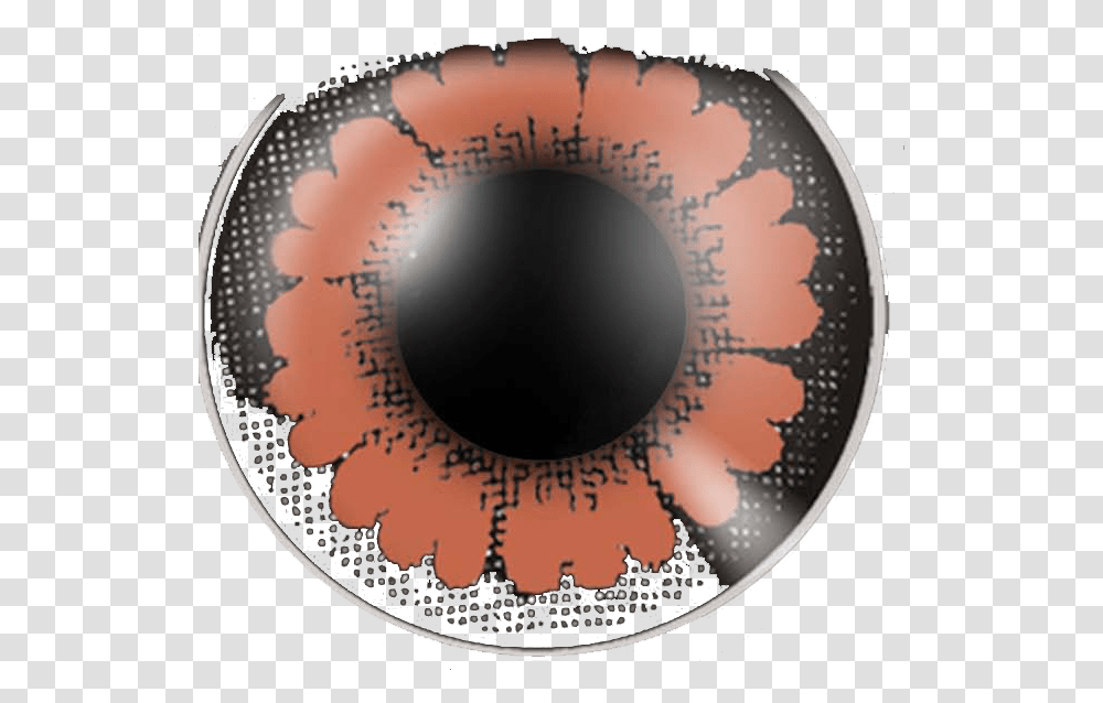 Big Eye Pretty Hazel Jerseystem, Pattern, Sphere, Ornament Transparent Png