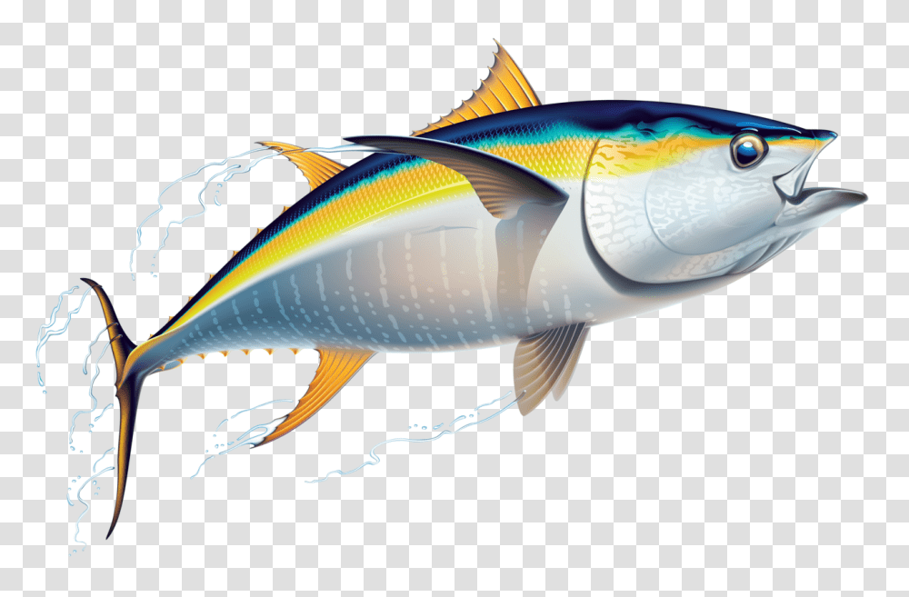Big Fish Clipart No Background Collection, Tuna, Sea Life, Animal, Bonito Transparent Png