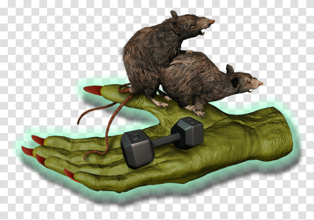 Big Fitness Goblin Rats Punxsutawney Phil, Animal, Mammal, Mouse, Bird Transparent Png