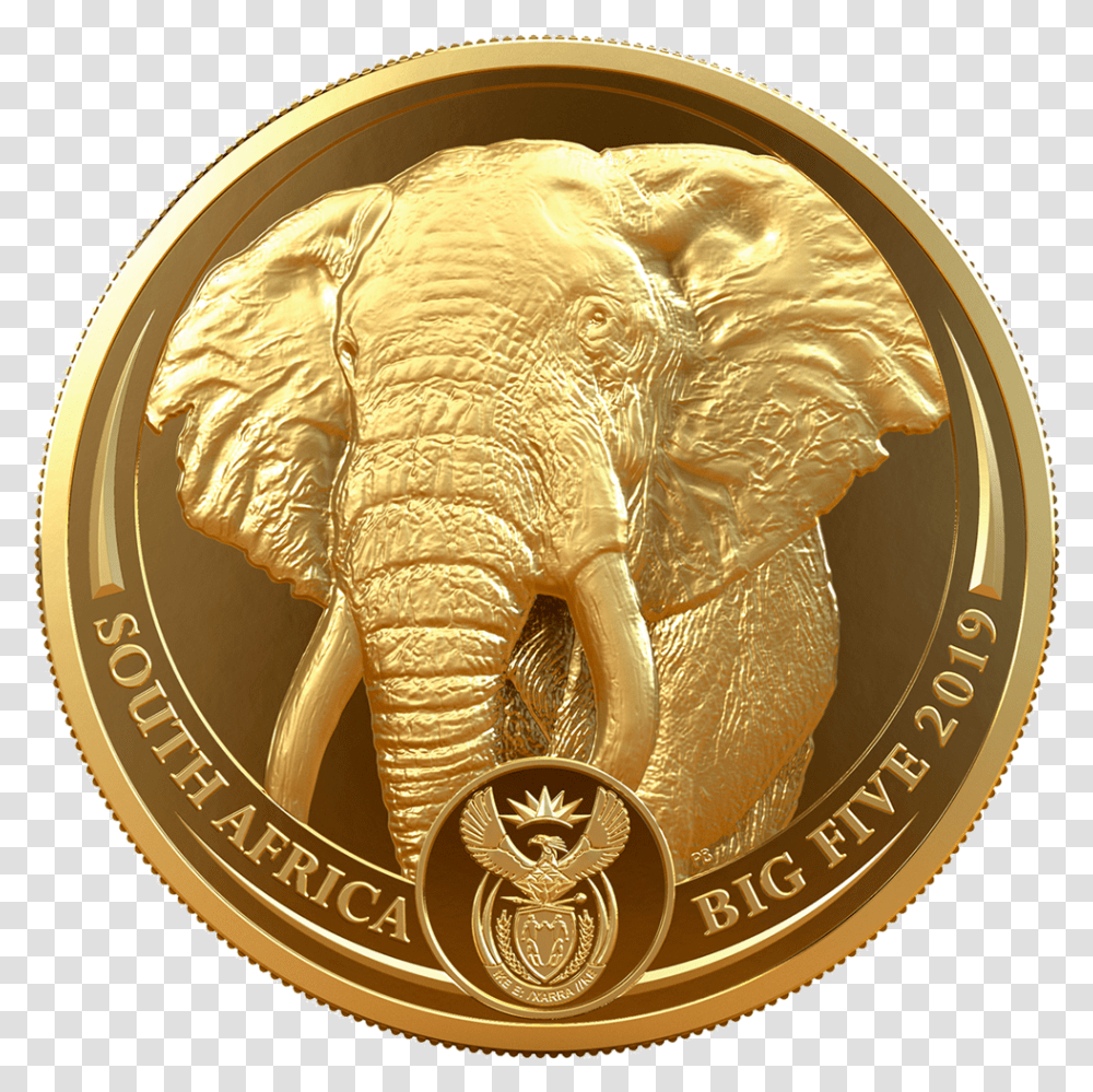 Big Five Elephant 1 Oz Emkcom South African Gold Coin, Wildlife, Mammal, Animal, Money Transparent Png
