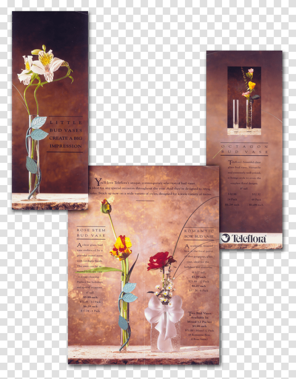 Big Flower Vase, Poster, Advertisement, Plant, Flyer Transparent Png