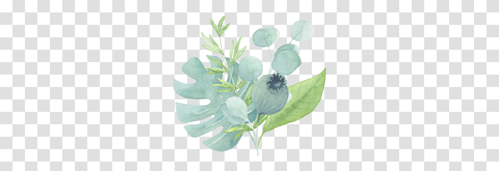 Big Green Set In Watercolor Baby Blue Eyes, Leaf, Plant, Flower, Acanthaceae Transparent Png