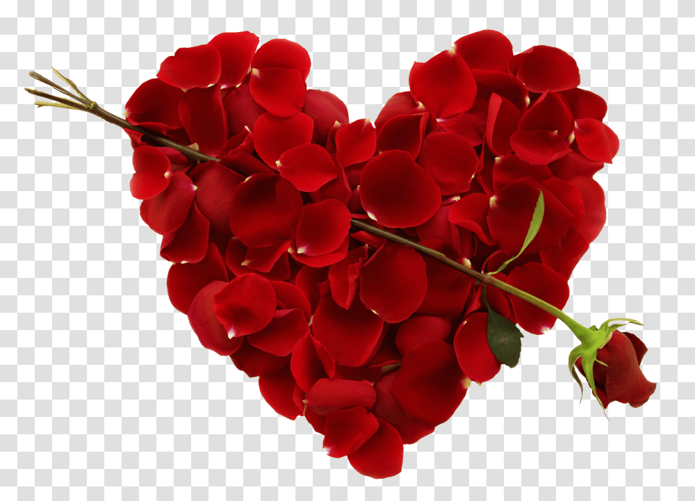 Big Heart Happy Valentine's Day Girlfriend, Petal, Flower, Plant, Blossom Transparent Png