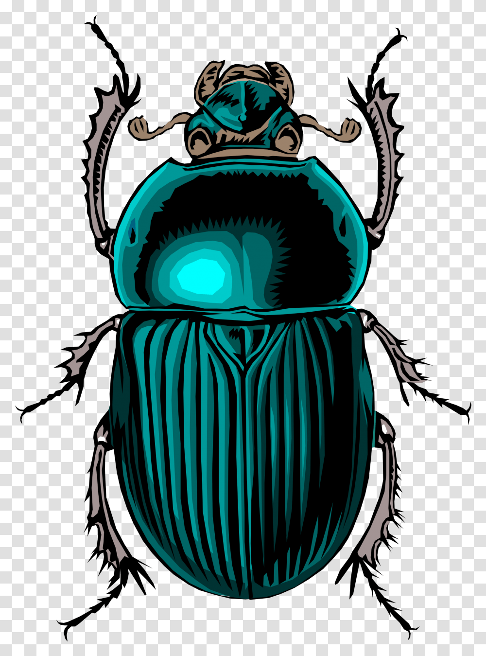 Big Image, Animal, Insect, Invertebrate, Dung Beetle Transparent Png