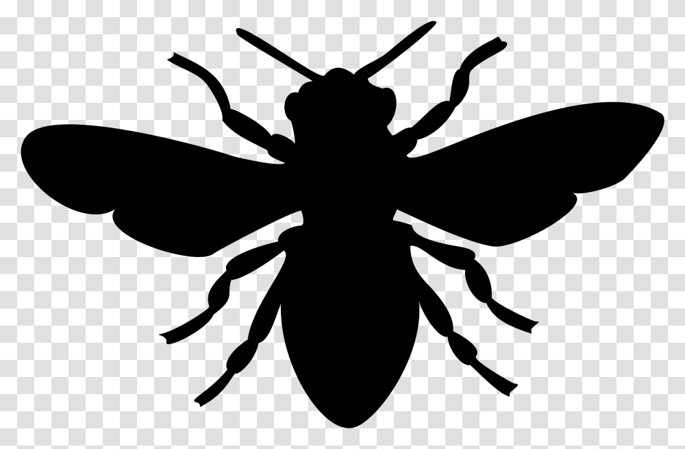 Big Image Bee Image Black And White, Gray, World Of Warcraft Transparent Png