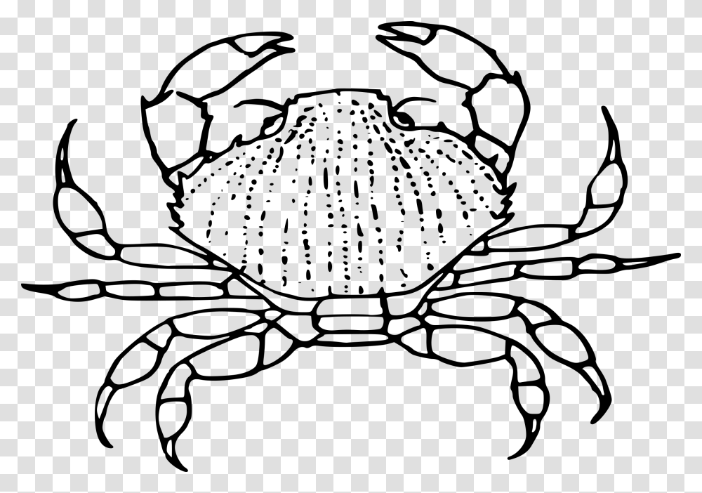 Big Image Black And White Crab Clip Art, Gray, World Of Warcraft Transparent Png