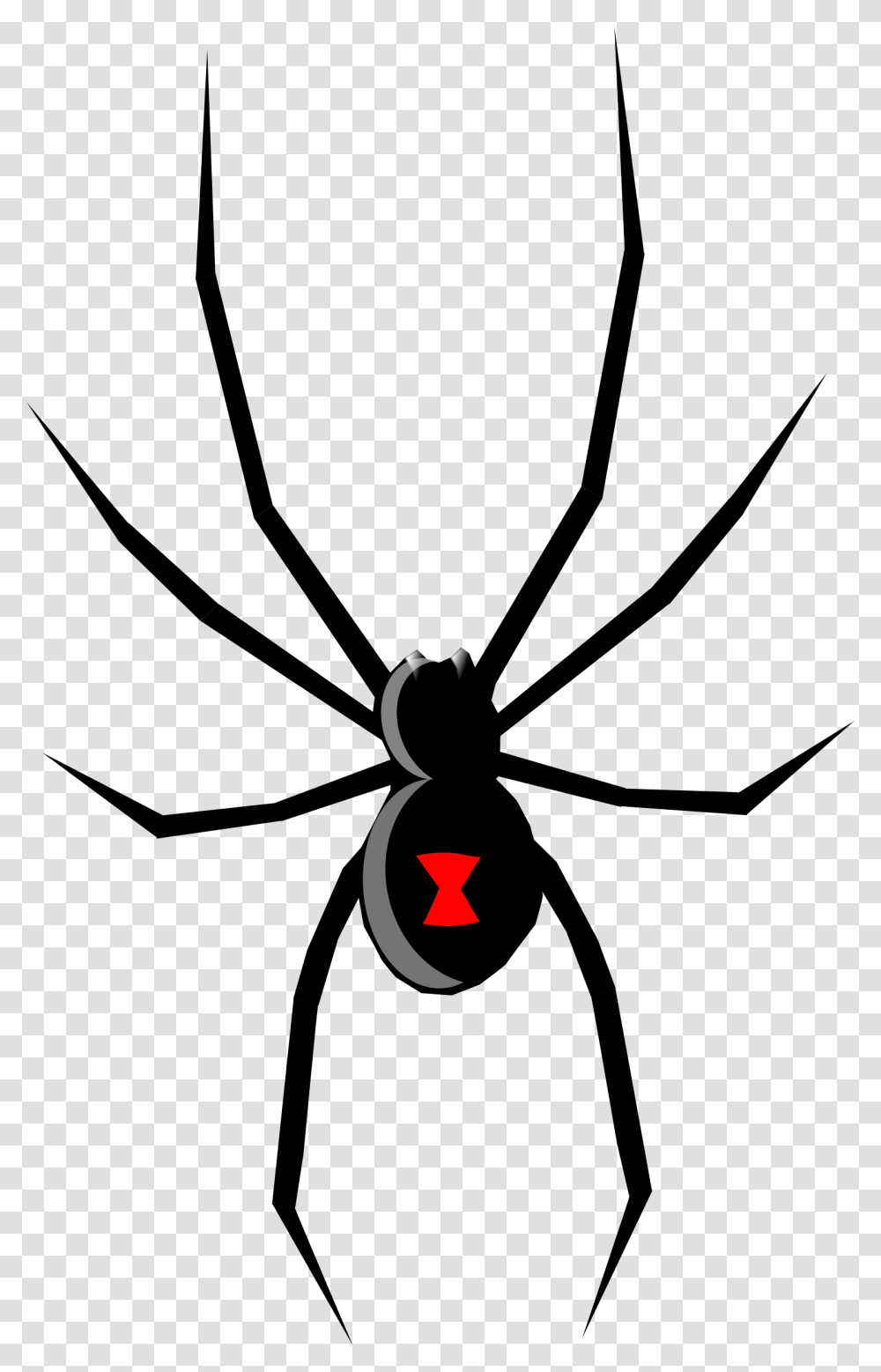 Big Image Black Widow Spider Cartoon, Animal, Light Transparent Png