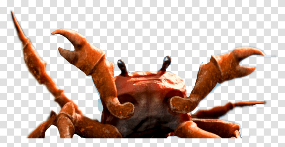 Big Image Download Crab Rave, Person, Lobster, Seafood, Sea Life Transparent Png