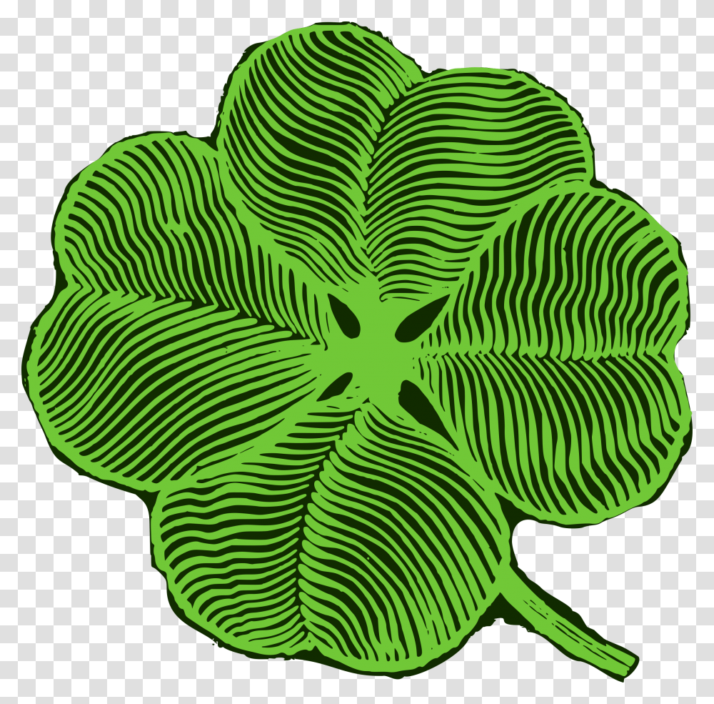 Big Image Four Leaf Clover, Plant, Green, Pattern, Fungus Transparent Png