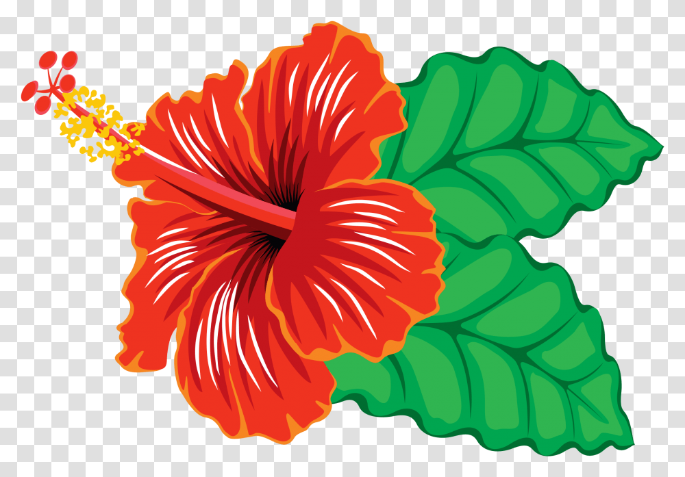 Big Image Hibiscus Clipart Clipartlook Clipart Of Hibiscus Flowers, Plant, Blossom Transparent Png
