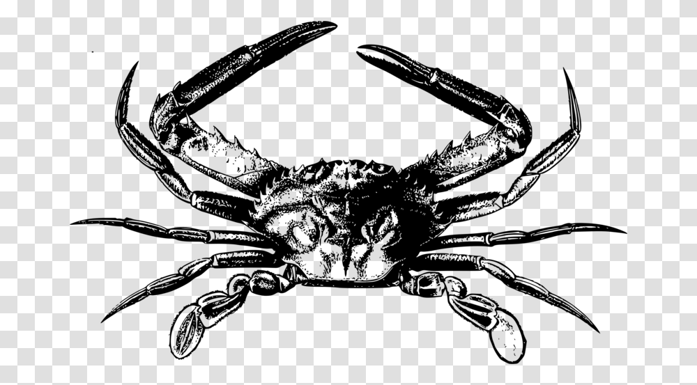 Big Image Kepiting, Gray, World Of Warcraft Transparent Png