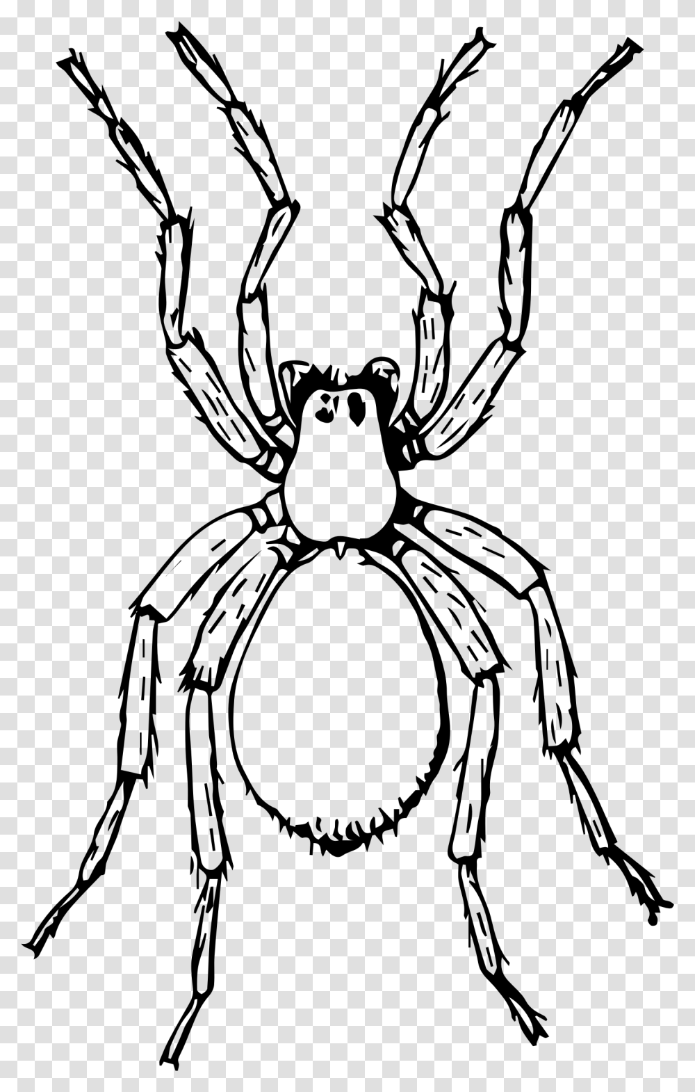 Big Image Spider Clipart Black And White, Gray, World Of Warcraft Transparent Png