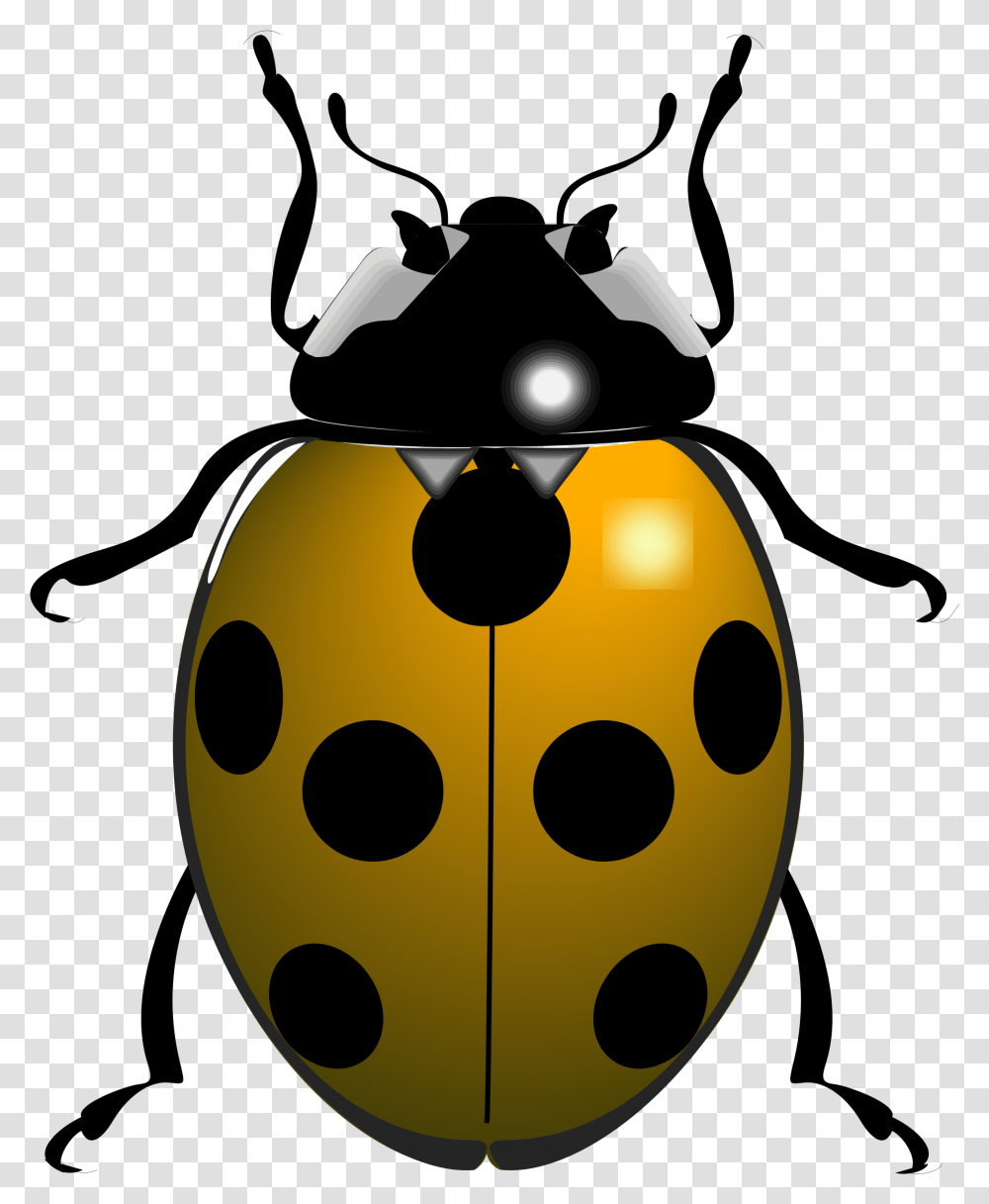 Big Image Things That Begin With The Letter Ladybug, Halloween, Food, Citrus Fruit, Plant Transparent Png