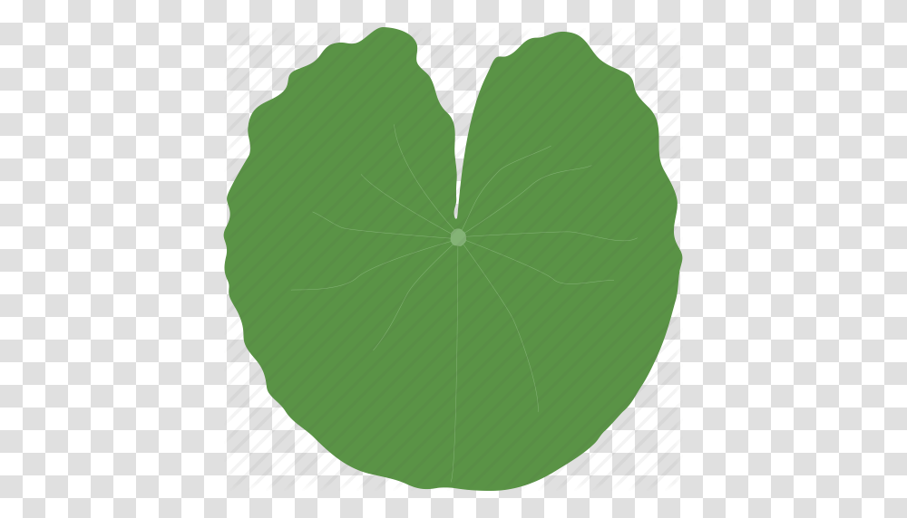 Big Jungle Leaf Leaves Plant Tropical Water Icon, Flower, Blossom, Green, Droplet Transparent Png