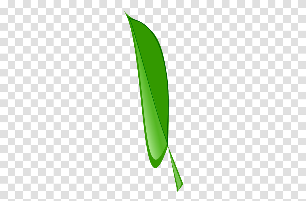 Big Leaf Clip Art, Green, Plant, Tool, Brush Transparent Png