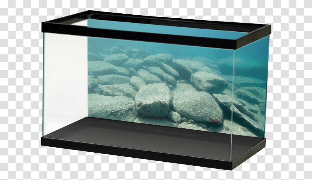 Big Ol River Rocks Background, Water, Aquarium, Sea Life, Animal Transparent Png