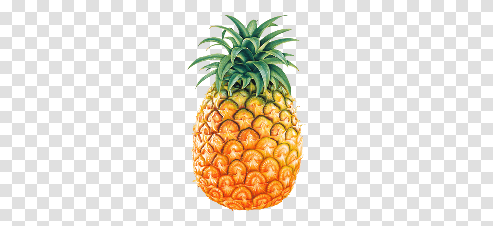 Big Pineapple, Fruit, Plant, Food Transparent Png