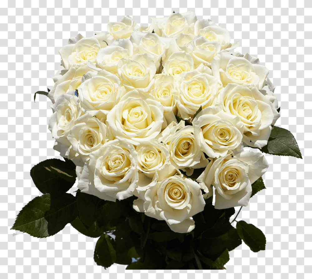 Big Roses Bouquets 2 Dozen White Special Flower Bouquet, Plant, Blossom, Flower Arrangement Transparent Png