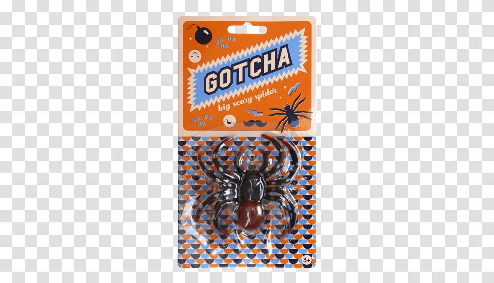 Big Scary Spider Insect, Poster, Advertisement, Flyer, Paper Transparent Png